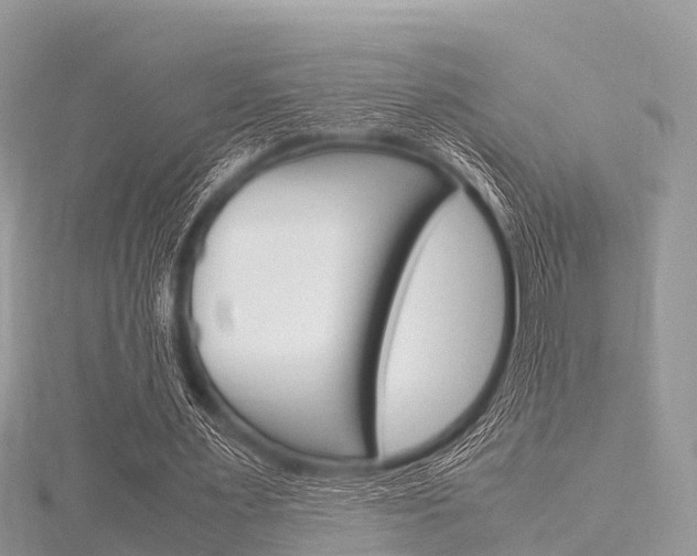 X0000116290483200911300956