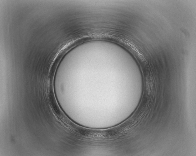 X0000116290488200911300956