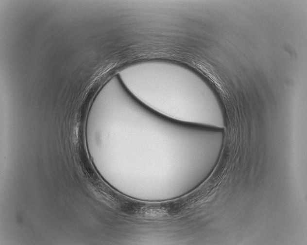 X0000116290491200911300956