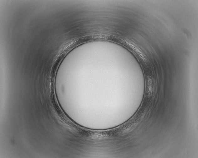 X0000116290494200911300956