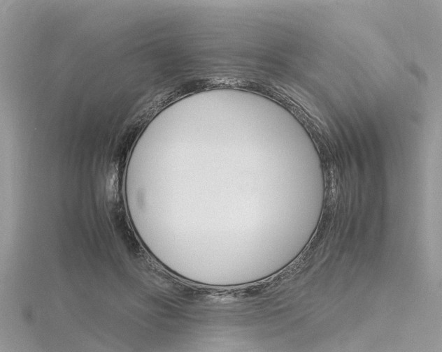 X0000116290502200911300955