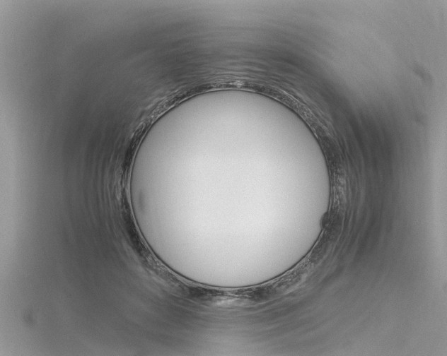X0000116290504200911300955