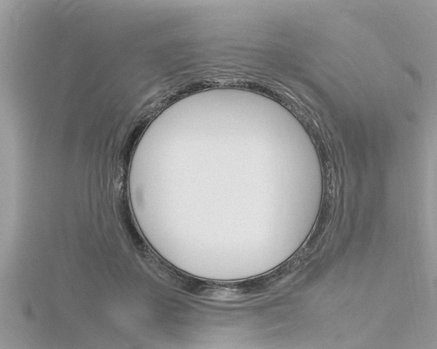 X0000116290507200911300955