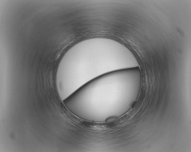X0000116290508200911300955
