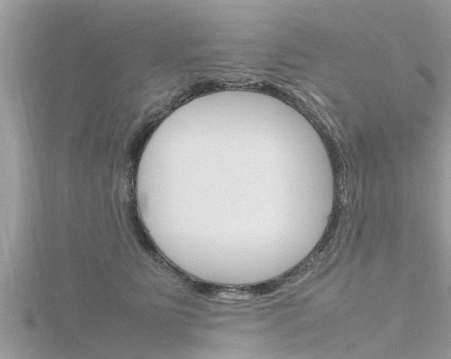 X0000116290515200911300955