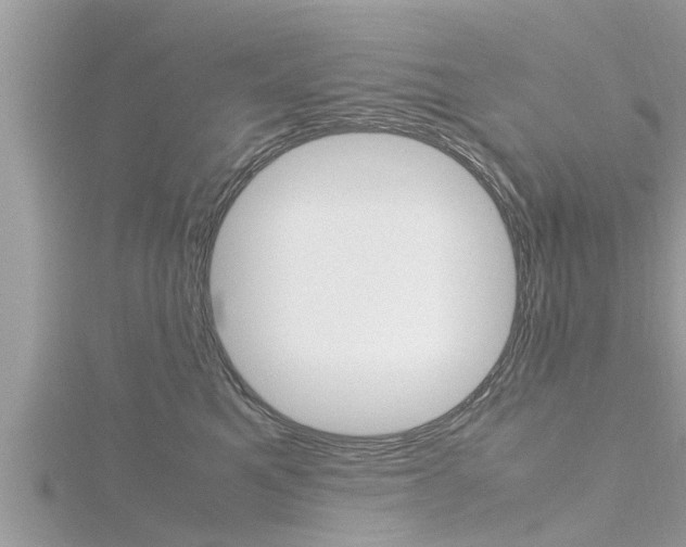 X0000116290521200911300955