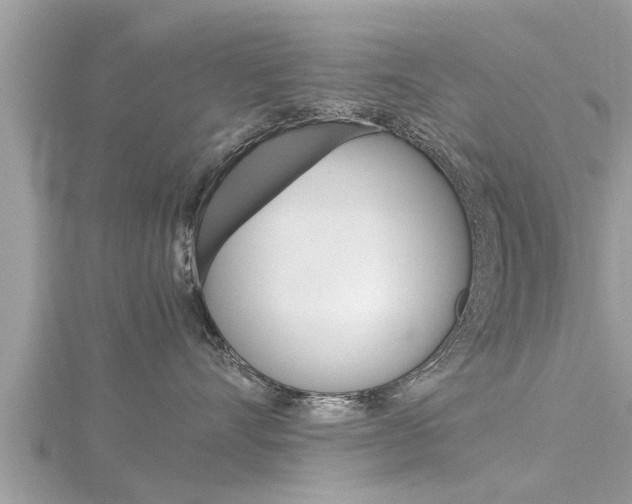 X0000116290528200911300955