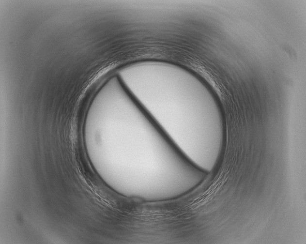 X0000116290531200911300955