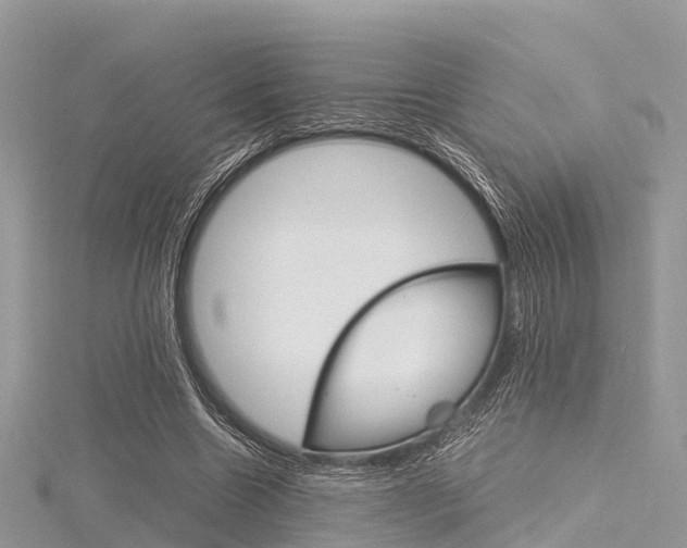X0000116290538200911300955