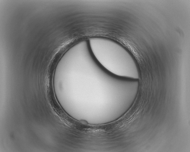 X0000116290539200911300955