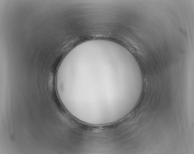 X0000116290550200911300955