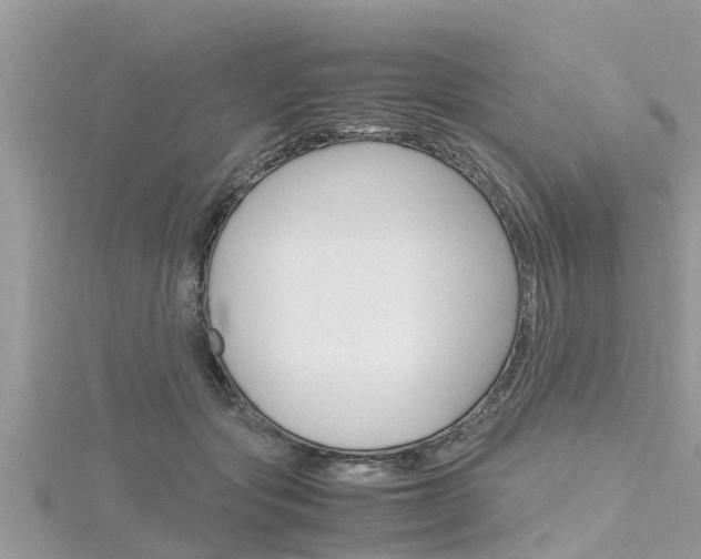 X0000116290557200911300955