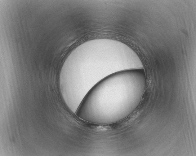X0000116290566200911300955