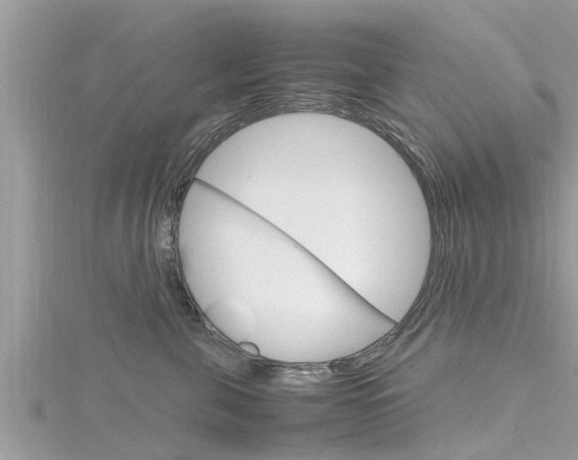 X0000116290571200911300955