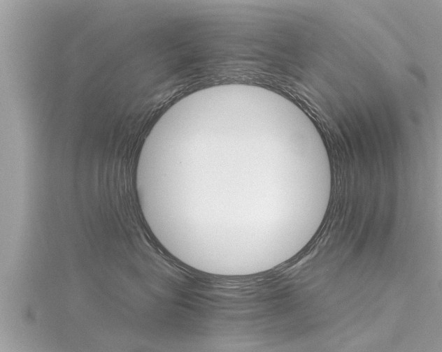 X0000116290575200911300955