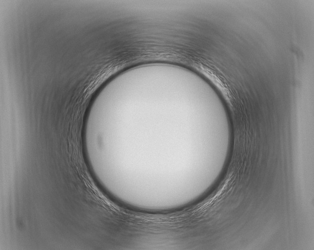 X0000116290577200911300955