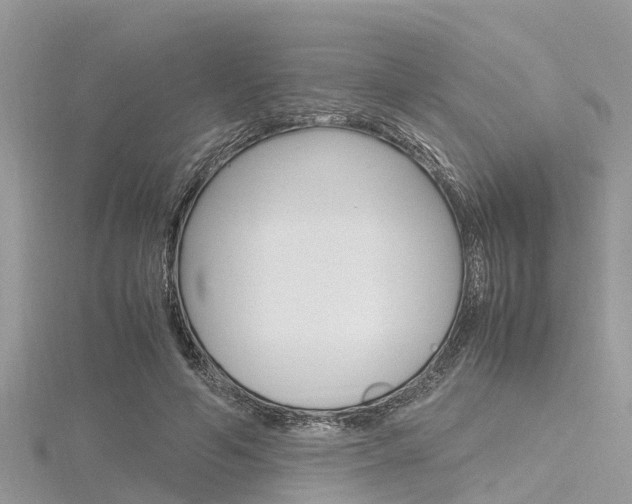 X0000116290594200911300954