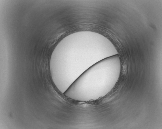X0000116290620200911300954