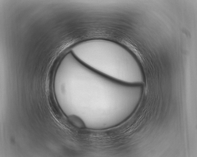 X0000116290627200911300953