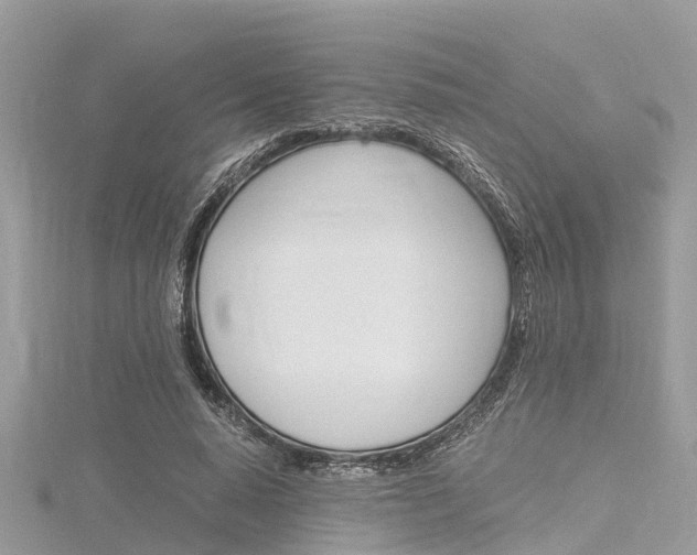X0000116290640200911300953