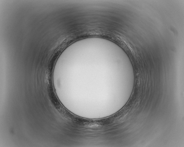 X0000116290643200911300953