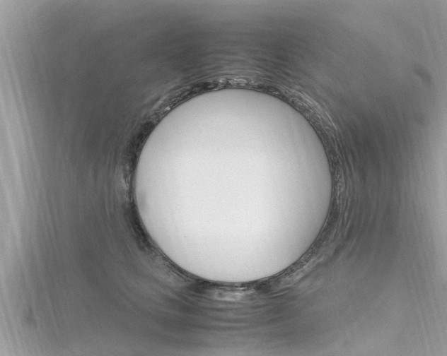 X0000116290661200911300954