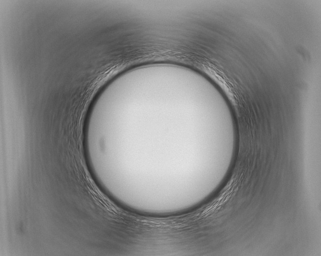 X0000116290673200911300953