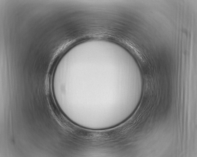 X0000116290678200911300953