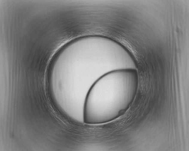 X0000116290680200911300953