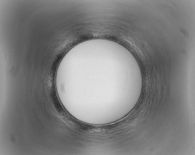 X0000116290691200911300953