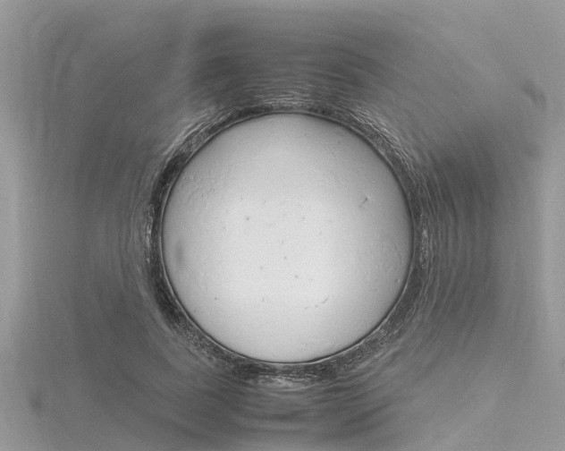 X0000116290739200911300952