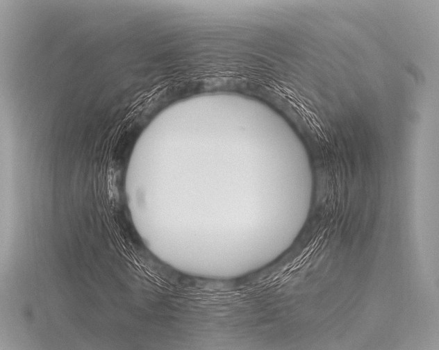 X0000116290770200911300952