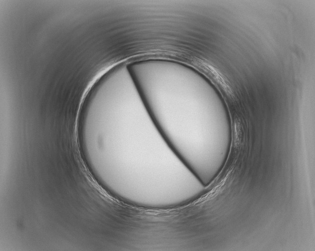 X0000116290780200911300952