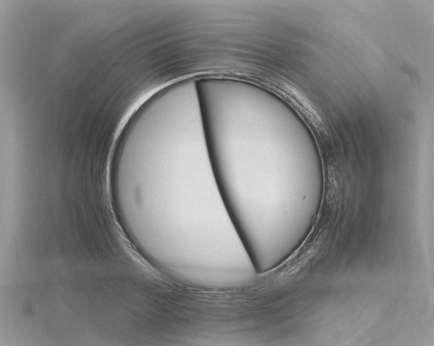 X0000116290788200911300951