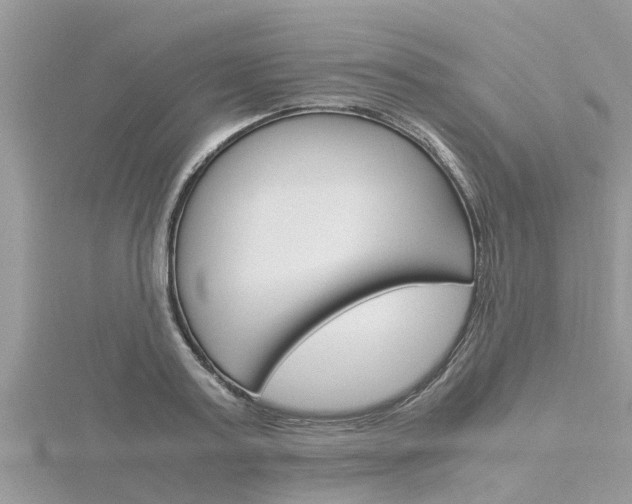 X0000116290795200911300951