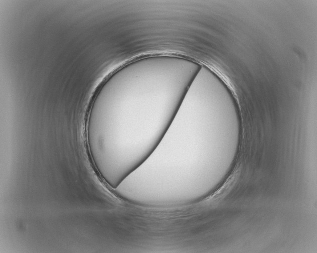 X0000116290797200911300951