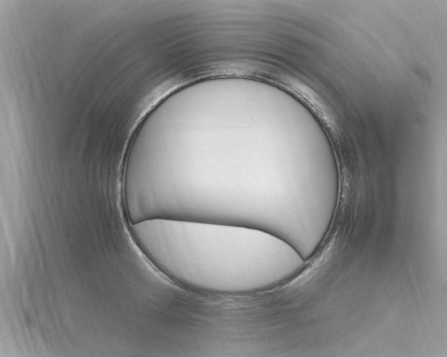 X0000116290802200911300951