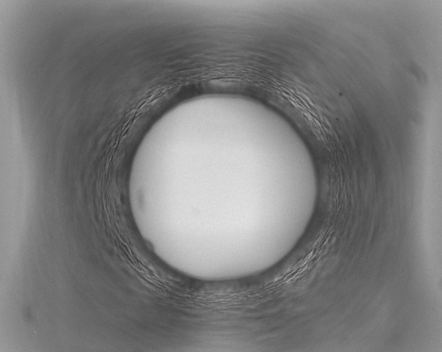 X0000116290817200911300950