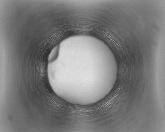 X0000116290818200911300951