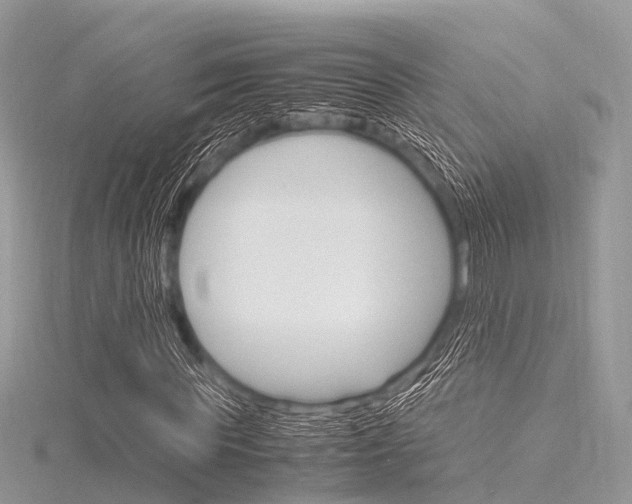 X0000116290819200911300951