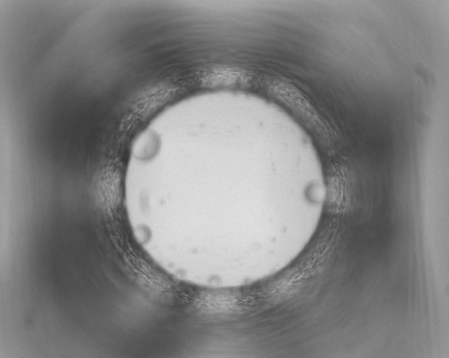 X0000116290820200911300951