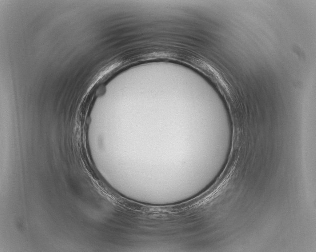 X0000116290827200911300951
