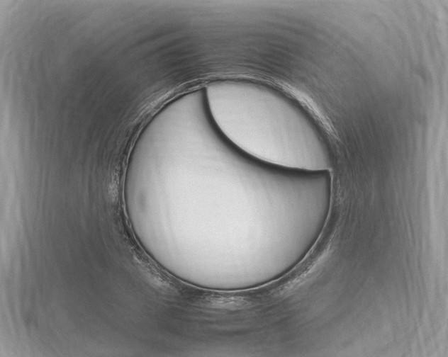 X0000116290833200911300951
