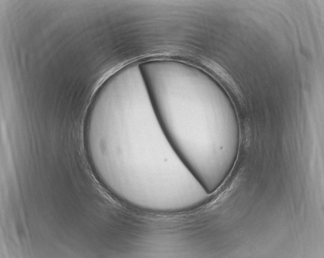 X0000116290834200911300951