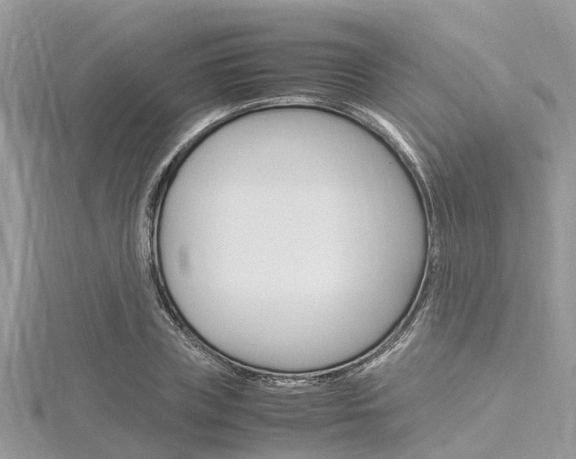 X0000116290835200911300951