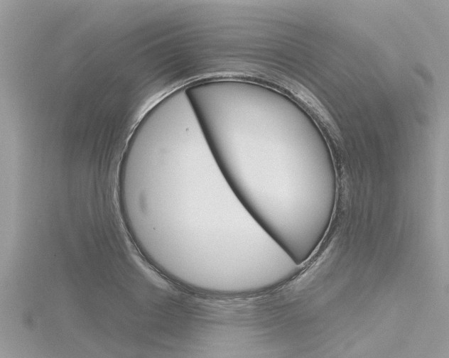 X0000116290842200911300951