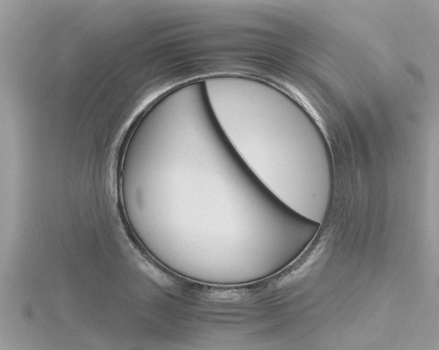X0000116290843200911300951