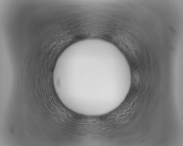 X0000116290865200911300950