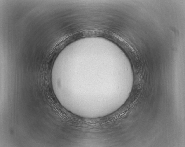 X0000116290870200911300950