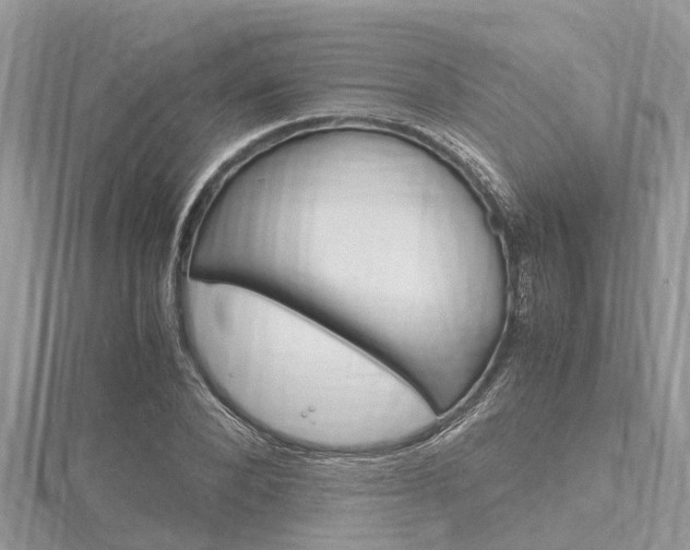 X0000116290880200911300950
